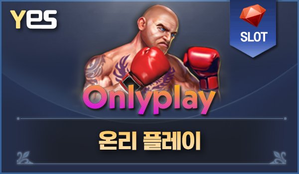온리 플레이