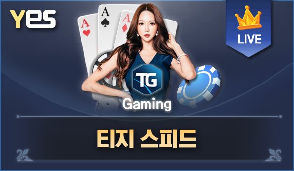 티지스피드