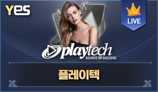 플레이텍